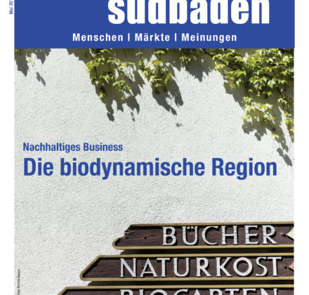 netzwerk südbaden