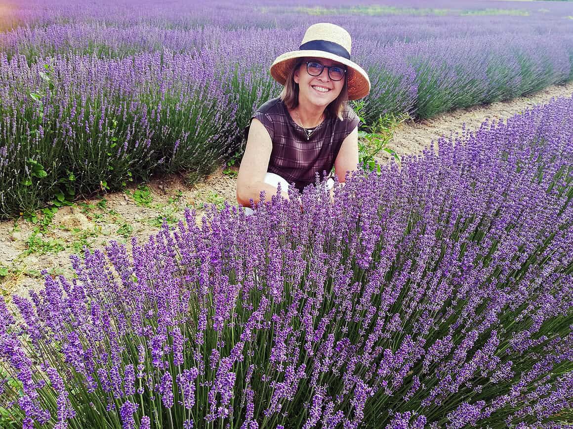 Beate Klinenmeier Kaiserstuhl Lavendel