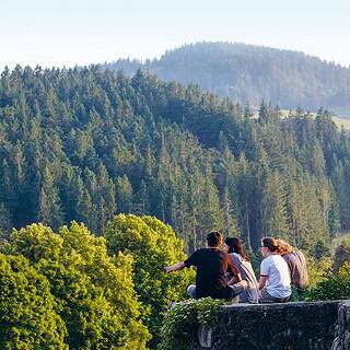 Idyllisch am Rand von Hinterzarten gelegen: das Internat Birklehof.